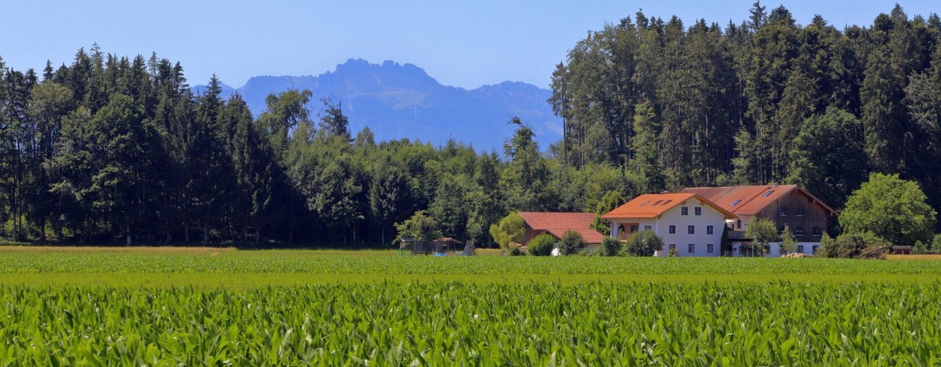 Impressionen